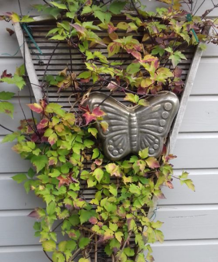 Ancien moule à gâteaux