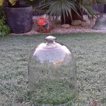 Cloche en verre La Rochelle