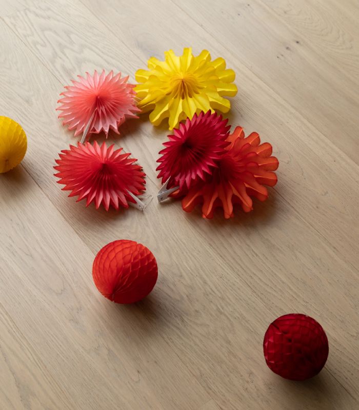 Essentiel XXL nude chêne Authentique 01...