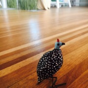 Parquet massif lamellé-collé Iroko 23 x 135 mm